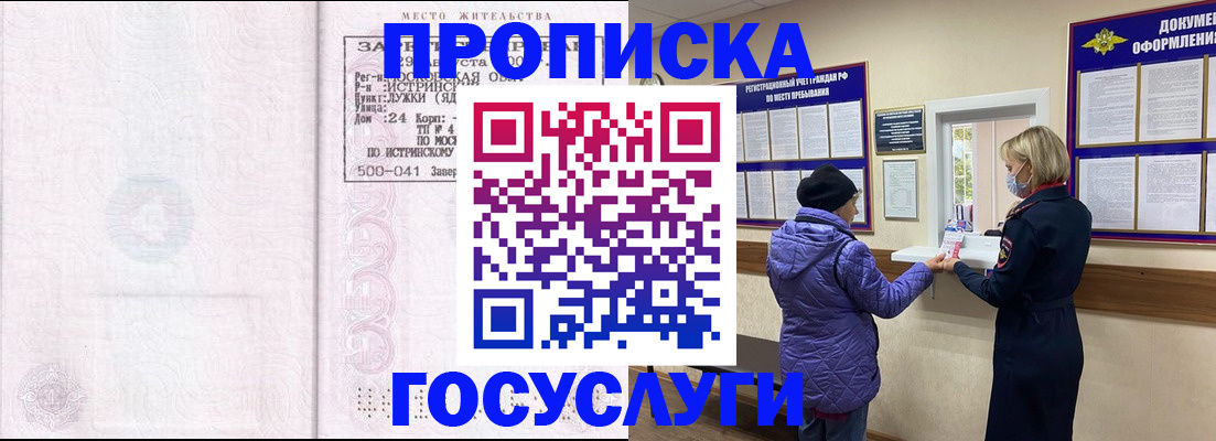 временная регистрация поиск в Бердске